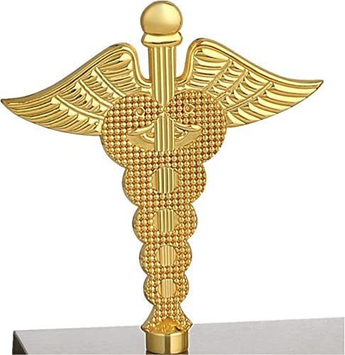 Name Personalized Stainless Steel Pen & Pencil Holder Stand With Golden Metal Doctor Logo & Storage, Best For Gift (Pack Of 1)