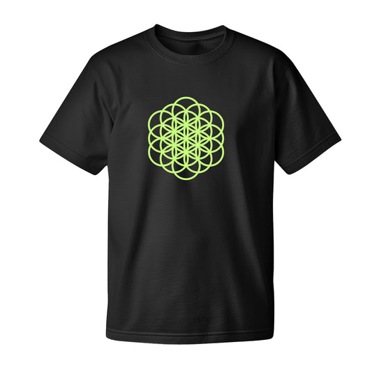 Cold Play Merchs, Unisex, Pure Cotton, Round Neck Hindi Logo (Copy)